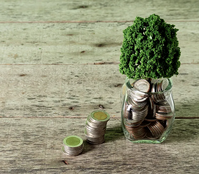 Investissement durable